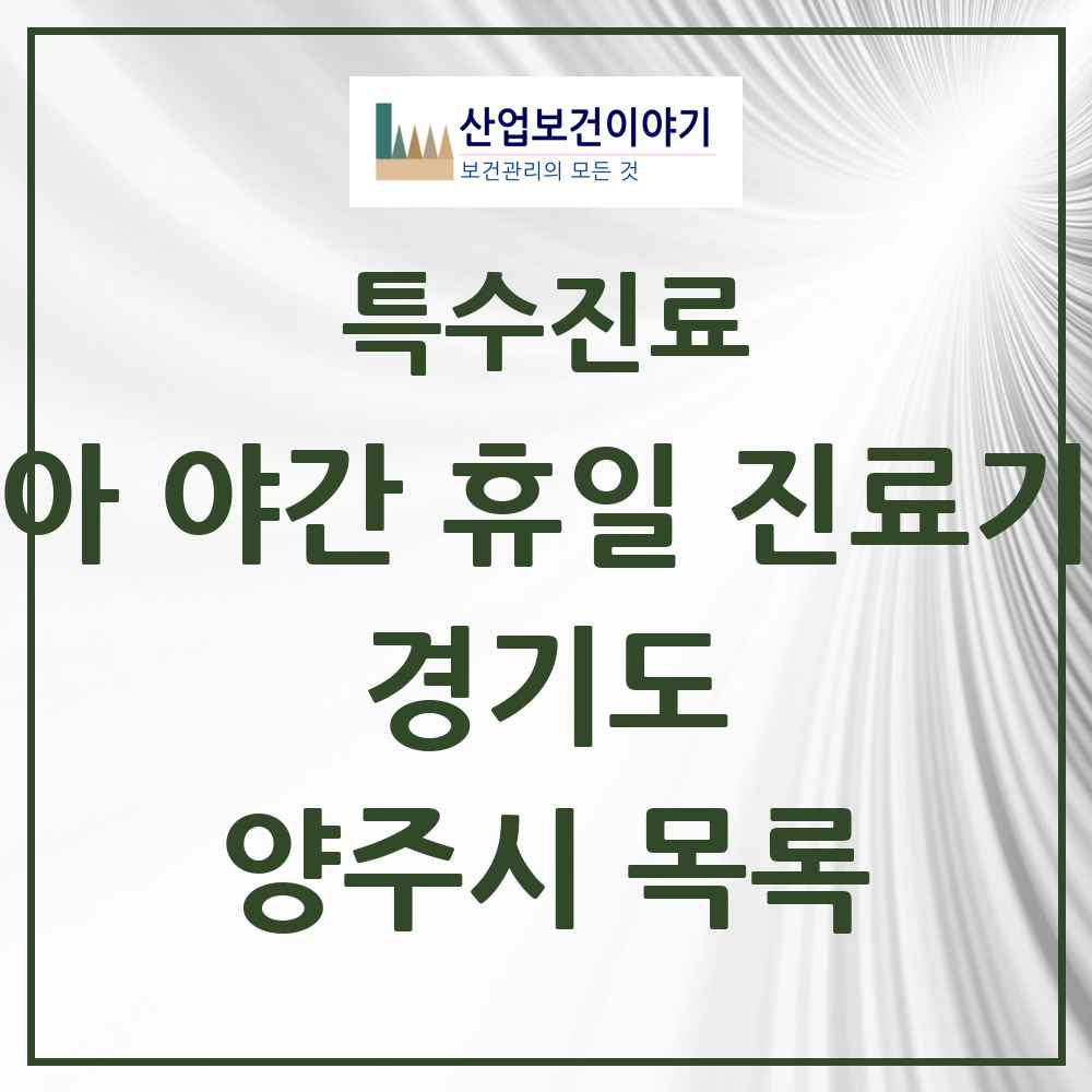 2025 경기도 양주시 소아 야간 휴일 진료기관 의원·병원 목록 2곳