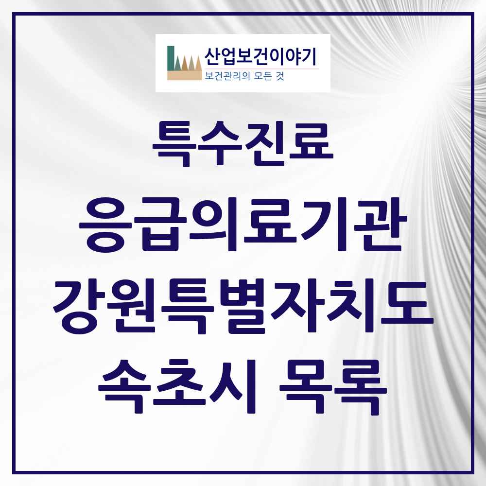 2025 강원특별자치도 속초시 응급의료기관 의원·병원 목록 2곳