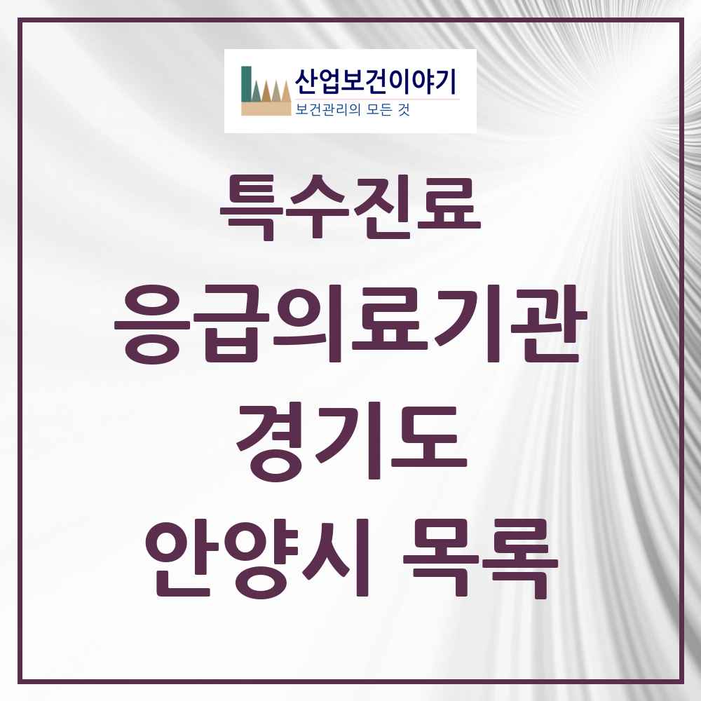 2025 경기도 안양시 응급의료기관 의원·병원 목록 2곳