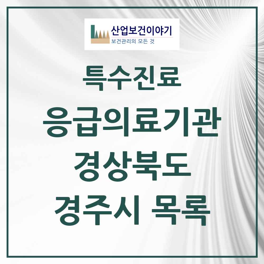 2025 경상북도 경주시 응급의료기관 의원·병원 목록 2곳
