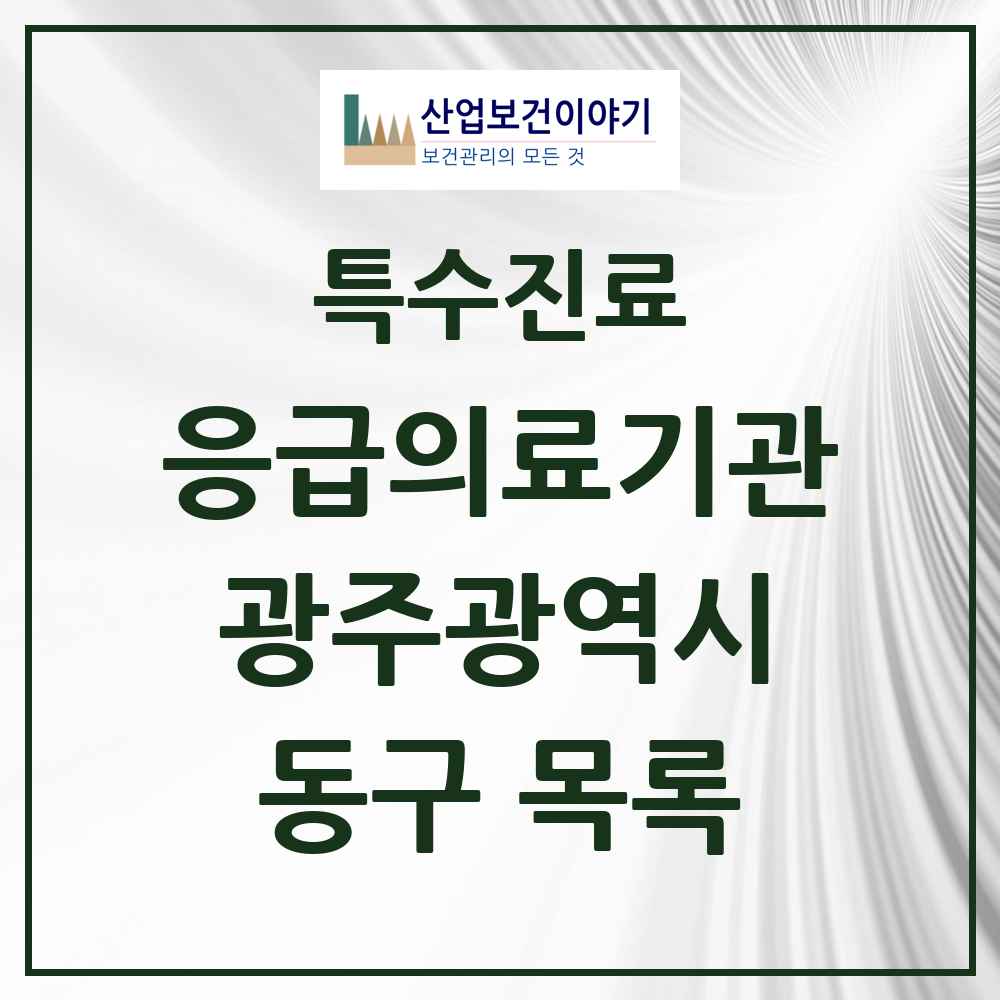 2025 광주광역시 동구 응급의료기관 의원·병원 목록 2곳
