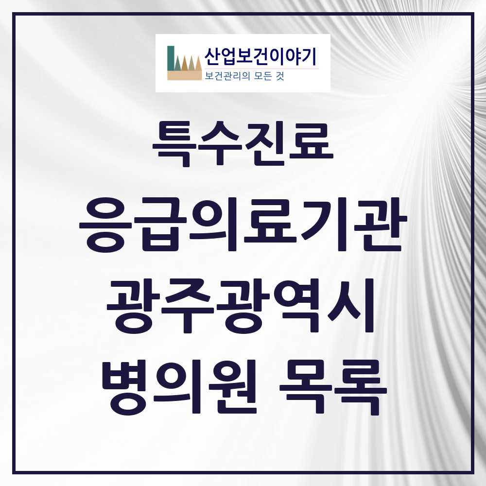 2025 광주광역시 응급의료기관 의원·병원 목록 21곳