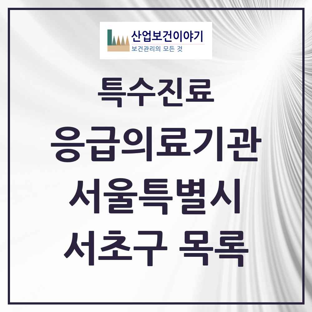 2025 서울특별시 서초구 응급의료기관 의원·병원 목록 1곳