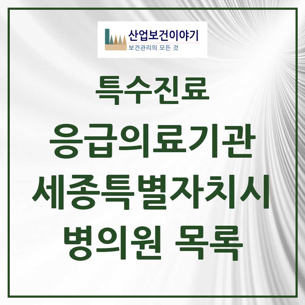 2025 세종특별자치시 응급의료기관 의원·병원 목록 2곳