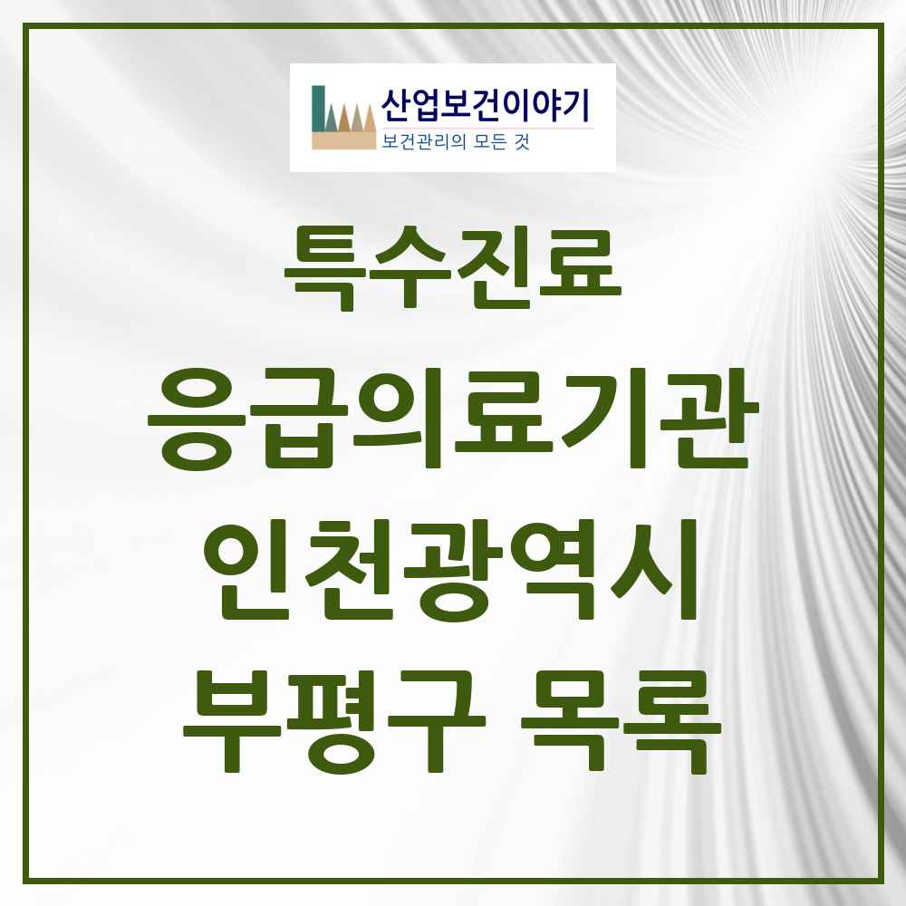 2025 인천광역시 부평구 응급의료기관 의원·병원 목록 2곳