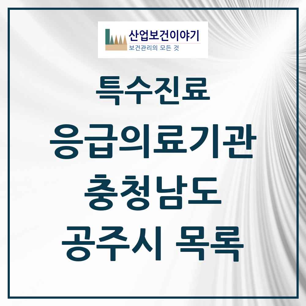 2025 충청남도 공주시 응급의료기관 의원·병원 목록 1곳