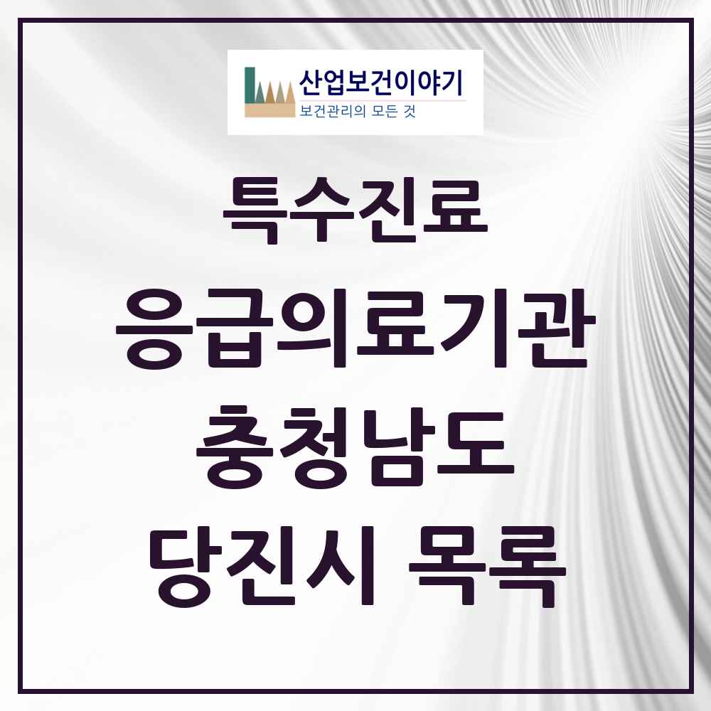 2025 충청남도 당진시 응급의료기관 의원·병원 목록 1곳