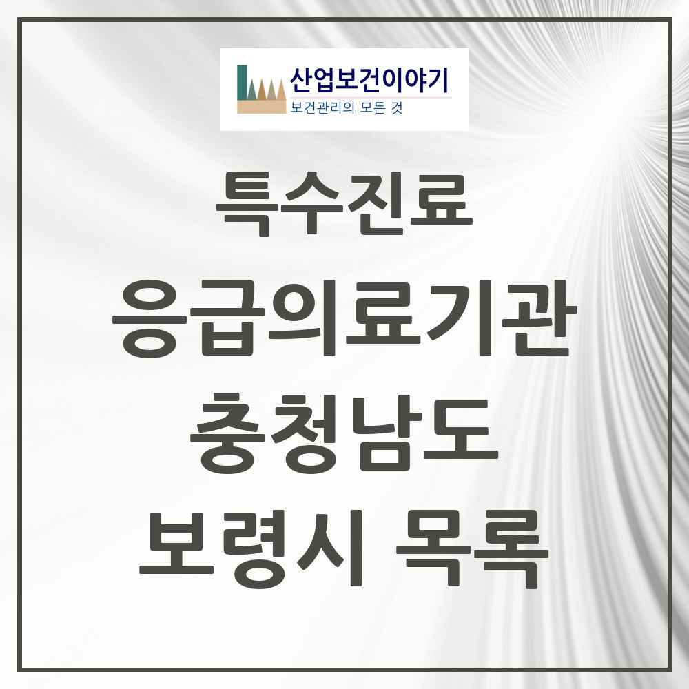 2025 충청남도 보령시 응급의료기관 의원·병원 목록 1곳