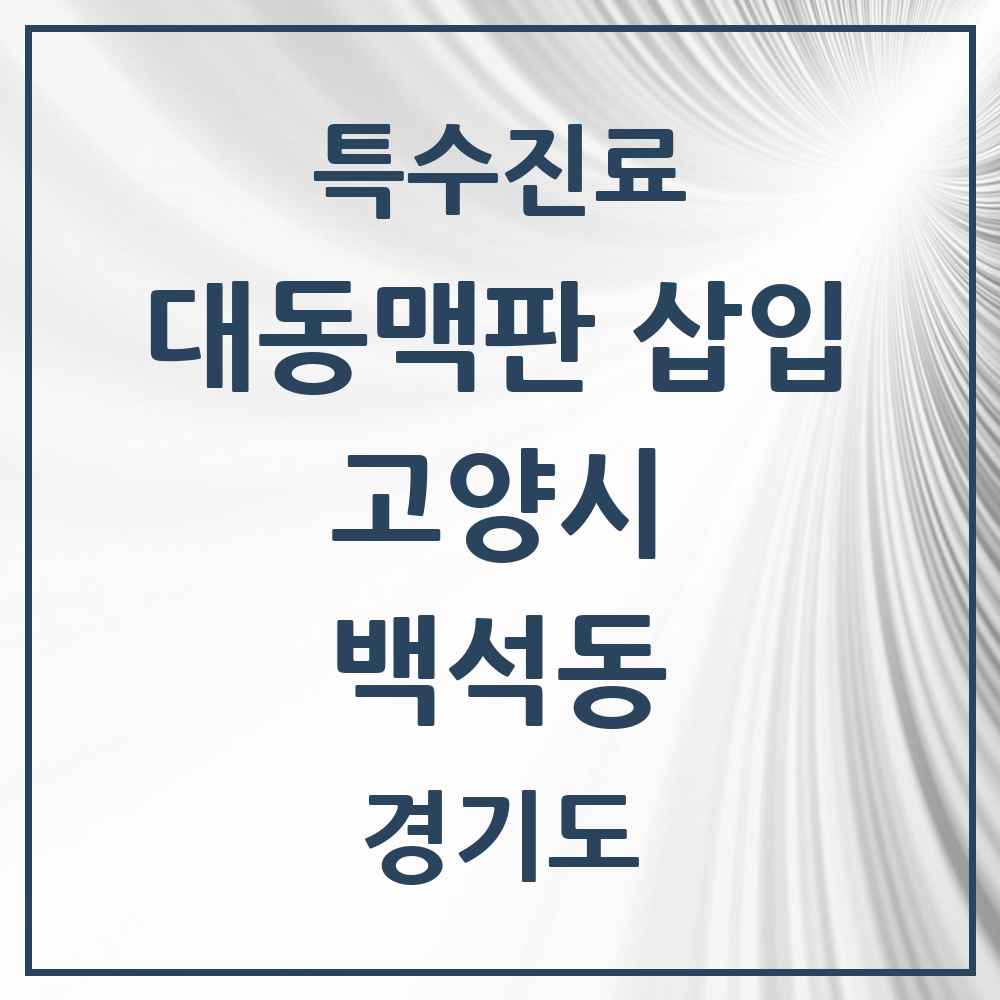 2025 경기도 고양시 백석동 경피적 대동맥판삽입 TAVI 실시기관 의원·병원 목록 1곳