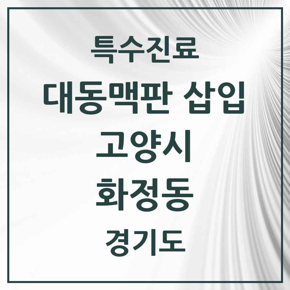 2025 경기도 고양시 화정동 경피적 대동맥판삽입 TAVI 실시기관 의원·병원 목록 1곳