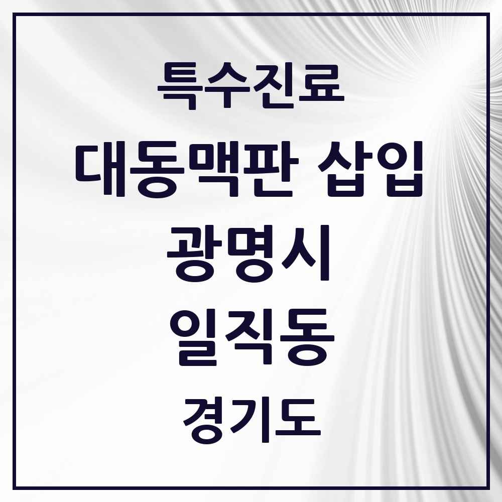 2025 경기도 광명시 일직동 경피적 대동맥판삽입 TAVI 실시기관 의원·병원 목록 1곳