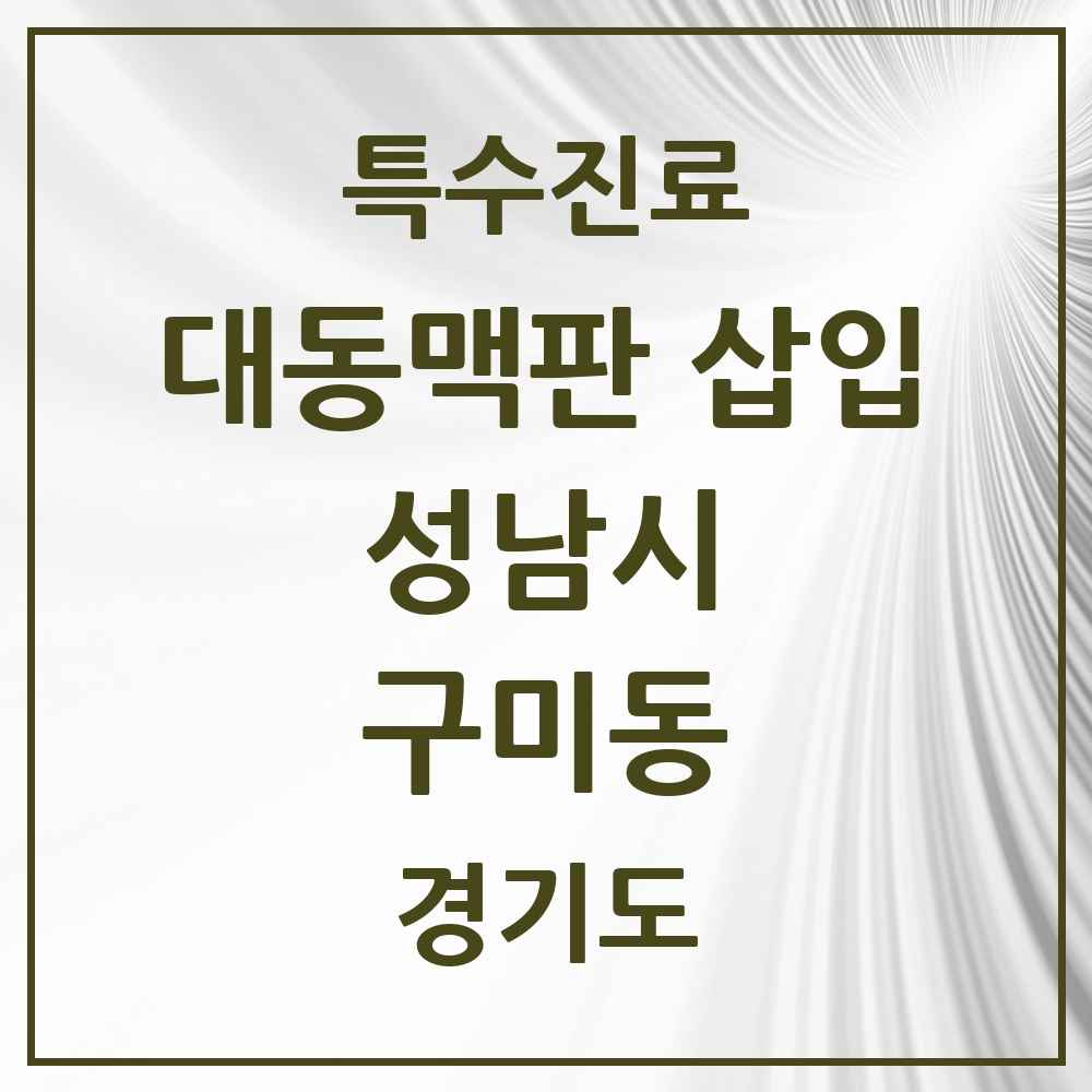 2025 경기도 성남시 구미동 경피적 대동맥판삽입 TAVI 실시기관 의원·병원 목록 1곳