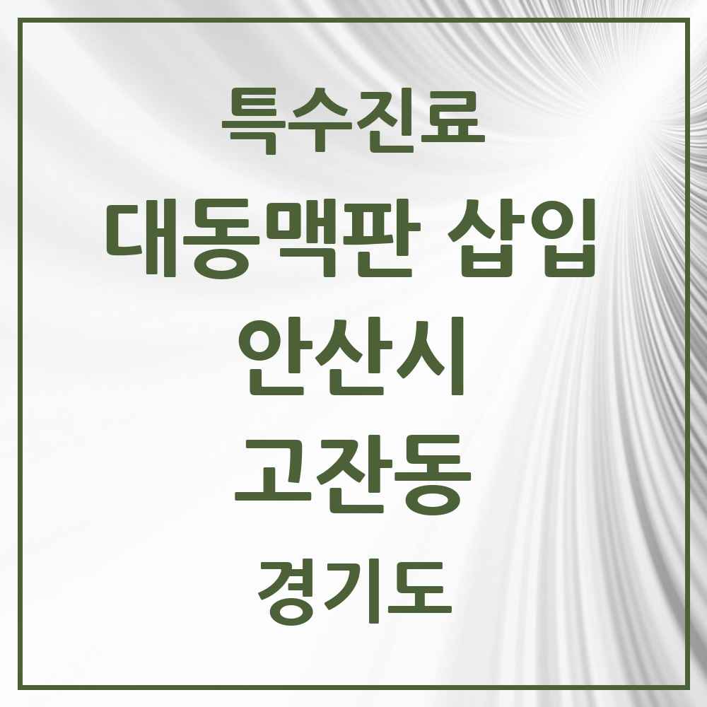 2025 경기도 안산시 고잔동 경피적 대동맥판삽입 TAVI 실시기관 의원·병원 목록 1곳