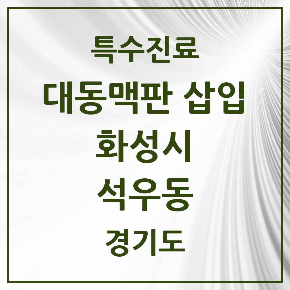2025 경기도 화성시 석우동 경피적 대동맥판삽입 TAVI 실시기관 의원·병원 목록 1곳