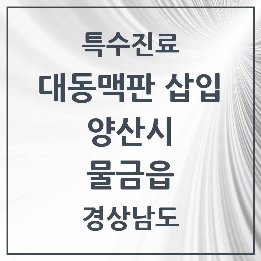 2025 경상남도 양산시 물금읍 경피적 대동맥판삽입 TAVI 실시기관 의원·병원 목록 1곳