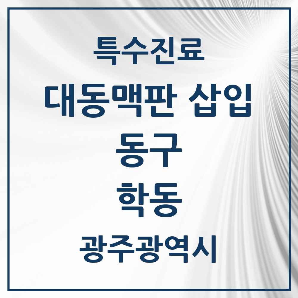 2025 광주광역시 동구 학동 경피적 대동맥판삽입 TAVI 실시기관 의원·병원 목록 1곳