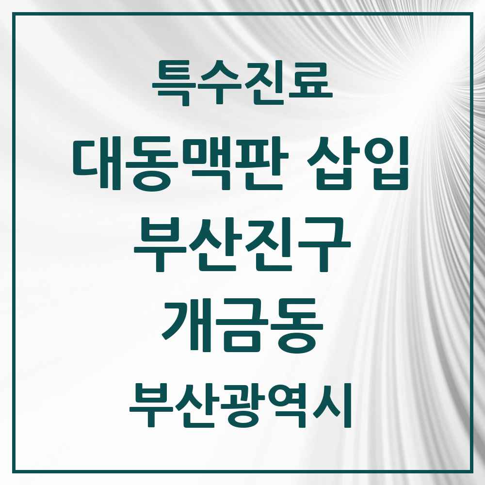 2025 부산광역시 부산진구 개금동 경피적 대동맥판삽입 TAVI 실시기관 의원·병원 목록 1곳
