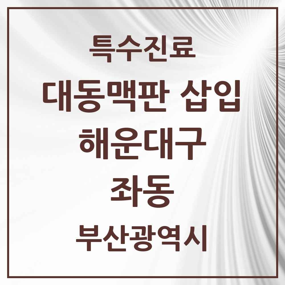 2025 부산광역시 해운대구 좌동 경피적 대동맥판삽입 TAVI 실시기관 의원·병원 목록 1곳