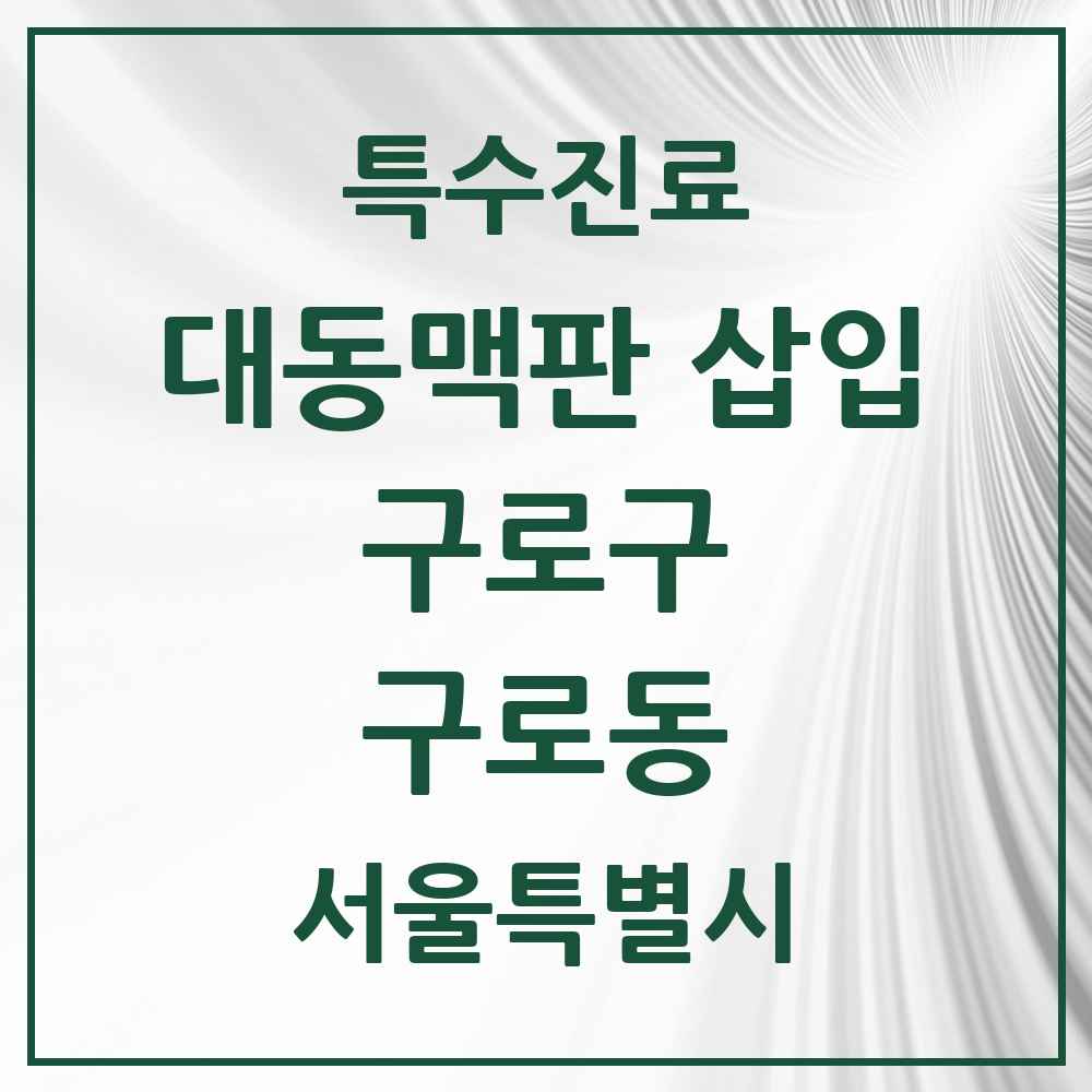 2025 서울특별시 구로구 구로동 경피적 대동맥판삽입 TAVI 실시기관 의원·병원 목록 1곳