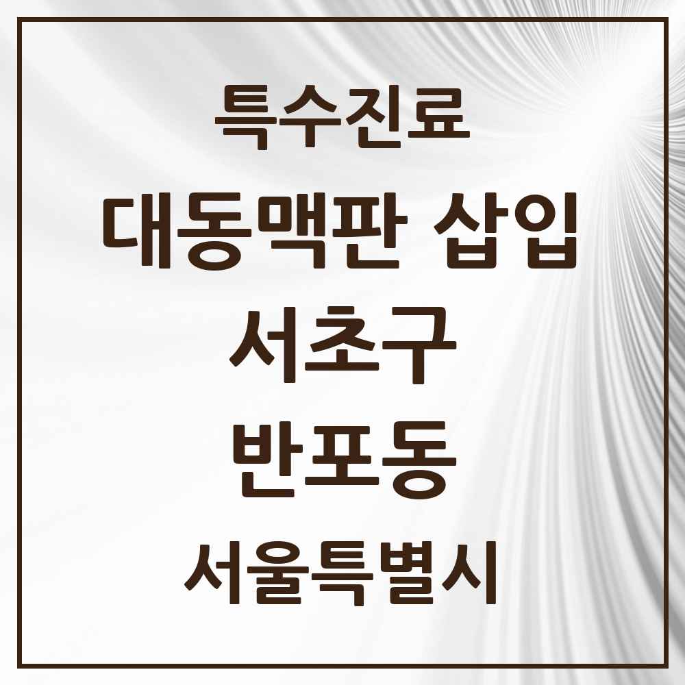 2025 서울특별시 서초구 반포동 경피적 대동맥판삽입 TAVI 실시기관 의원·병원 목록 1곳