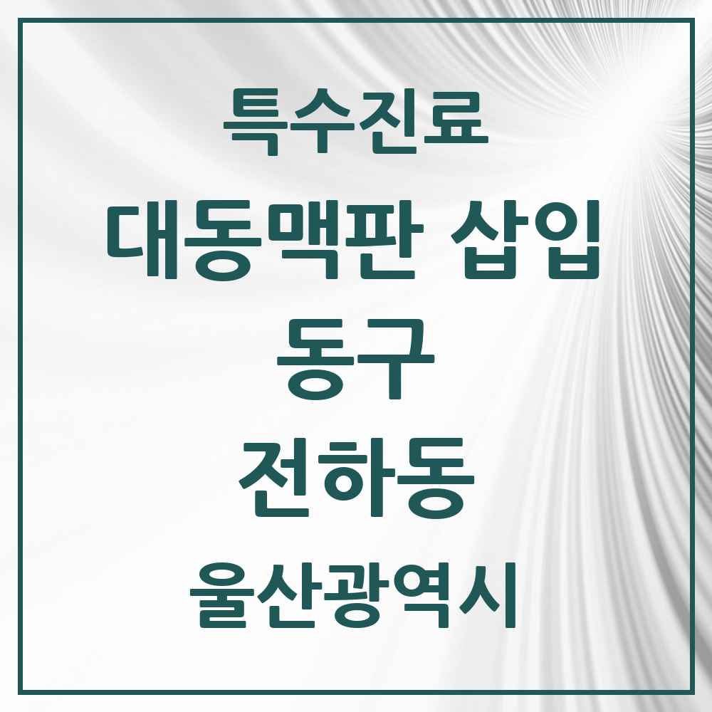 2025 울산광역시 동구 전하동 경피적 대동맥판삽입 TAVI 실시기관 의원·병원 목록 1곳