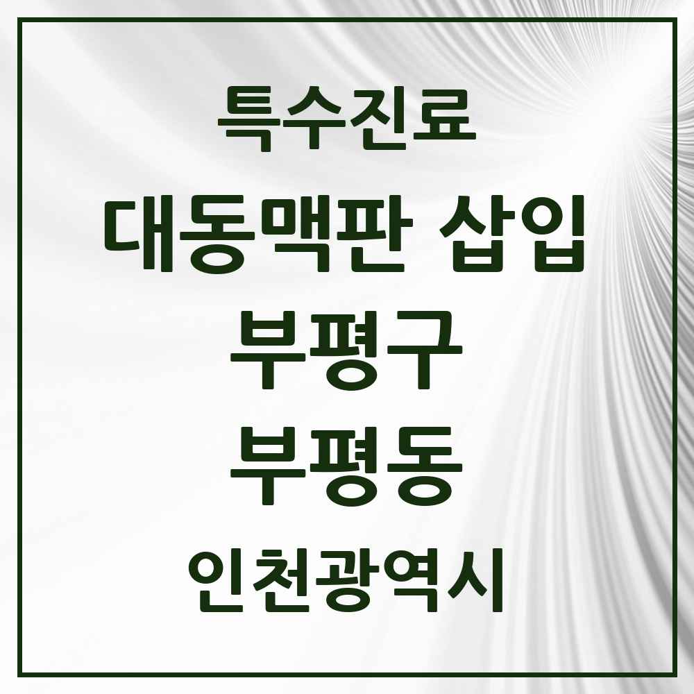 2025 인천광역시 부평구 부평동 경피적 대동맥판삽입 TAVI 실시기관 의원·병원 목록 1곳
