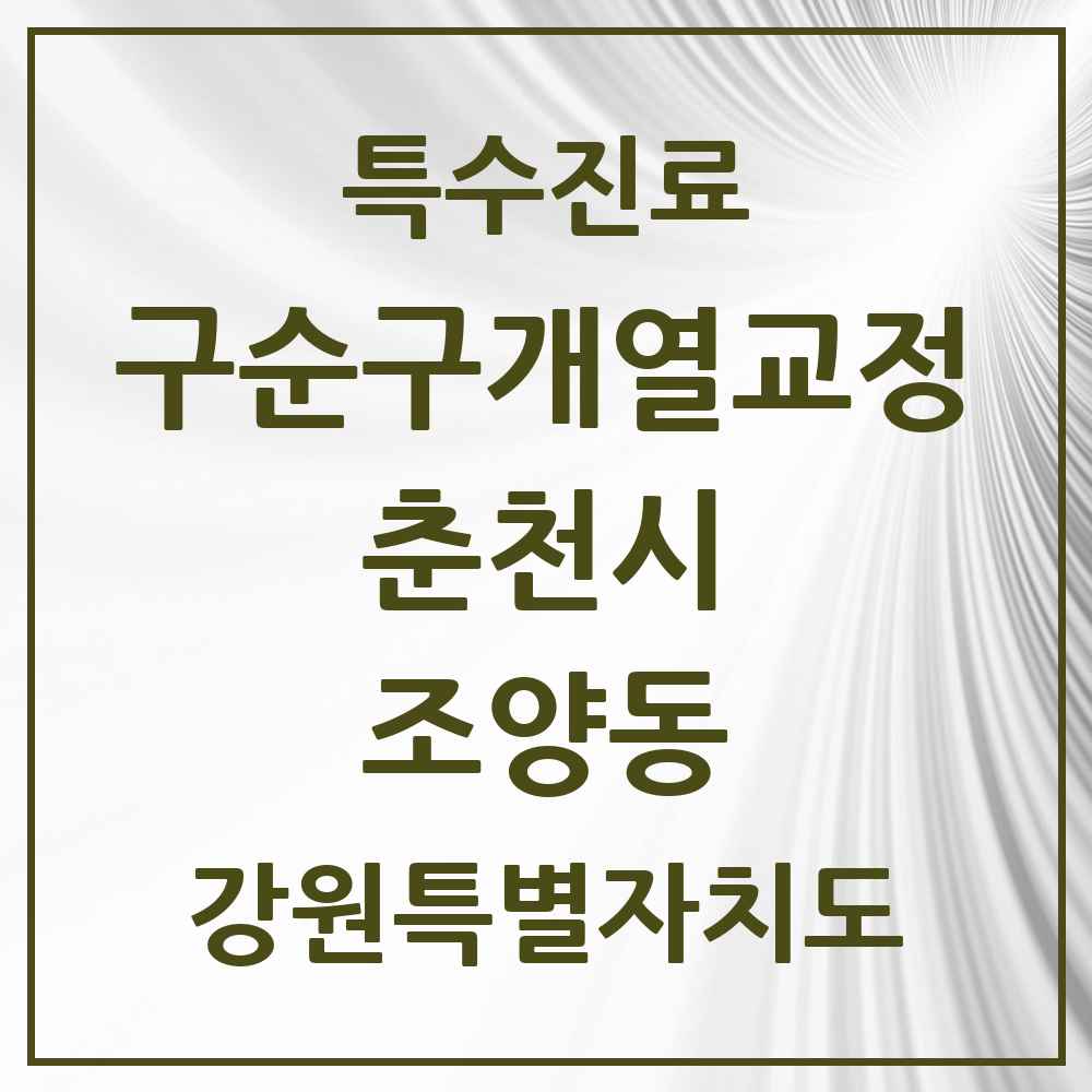 2025 강원특별자치도 춘천시 조양동 구순구개열 등 치과교정 및 악정형 치료 실시기관 의원·병원 목록 1곳