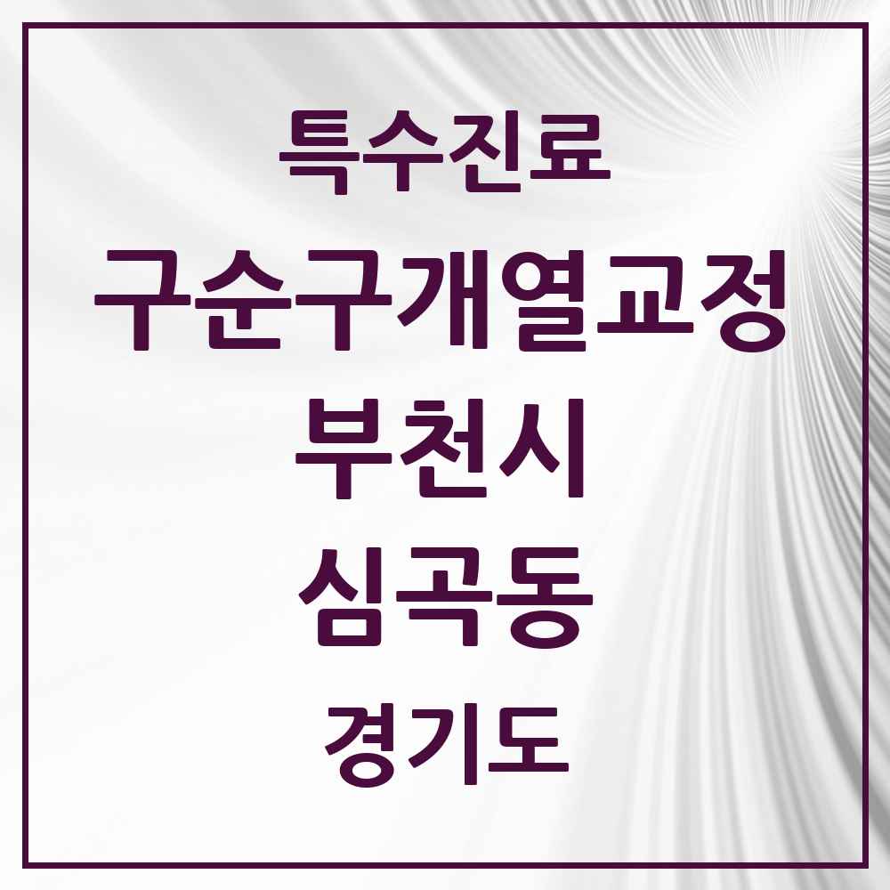 2025 경기도 부천시 심곡동 구순구개열 등 치과교정 및 악정형 치료 실시기관 의원·병원 목록 1곳