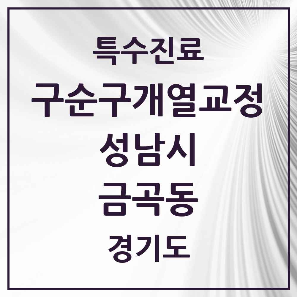 2025 경기도 성남시 금곡동 구순구개열 등 치과교정 및 악정형 치료 실시기관 의원·병원 목록 1곳