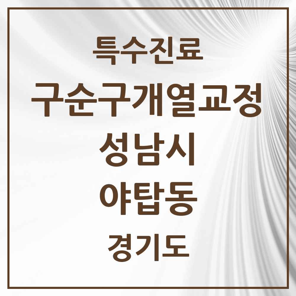2025 경기도 성남시 야탑동 구순구개열 등 치과교정 및 악정형 치료 실시기관 의원·병원 목록 1곳