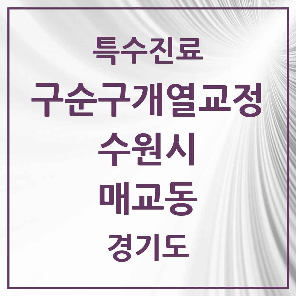 2025 경기도 수원시 매교동 구순구개열 등 치과교정 및 악정형 치료 실시기관 의원·병원 목록 1곳
