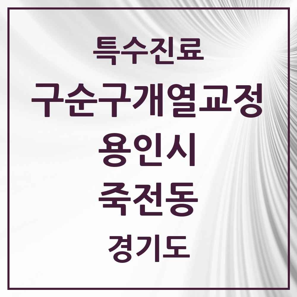 2025 경기도 용인시 죽전동 구순구개열 등 치과교정 및 악정형 치료 실시기관 의원·병원 목록 1곳