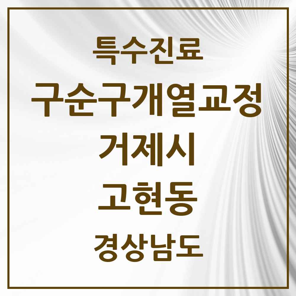 2025 경상남도 거제시 고현동 구순구개열 등 치과교정 및 악정형 치료 실시기관 의원·병원 목록 1곳