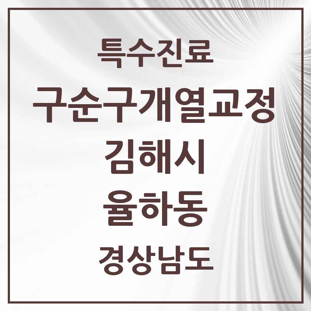 2025 경상남도 김해시 율하동 구순구개열 등 치과교정 및 악정형 치료 실시기관 의원·병원 목록 1곳