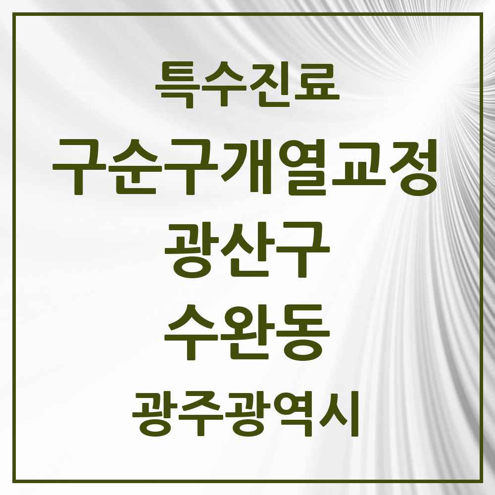 2025 광주광역시 광산구 수완동 구순구개열 등 치과교정 및 악정형 치료 실시기관 의원·병원 목록 1곳