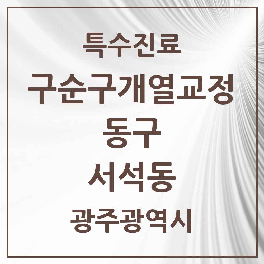 2025 광주광역시 동구 서석동 구순구개열 등 치과교정 및 악정형 치료 실시기관 의원·병원 목록 1곳