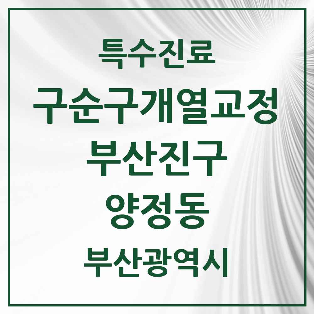 2025 부산광역시 부산진구 양정동 구순구개열 등 치과교정 및 악정형 치료 실시기관 의원·병원 목록 1곳
