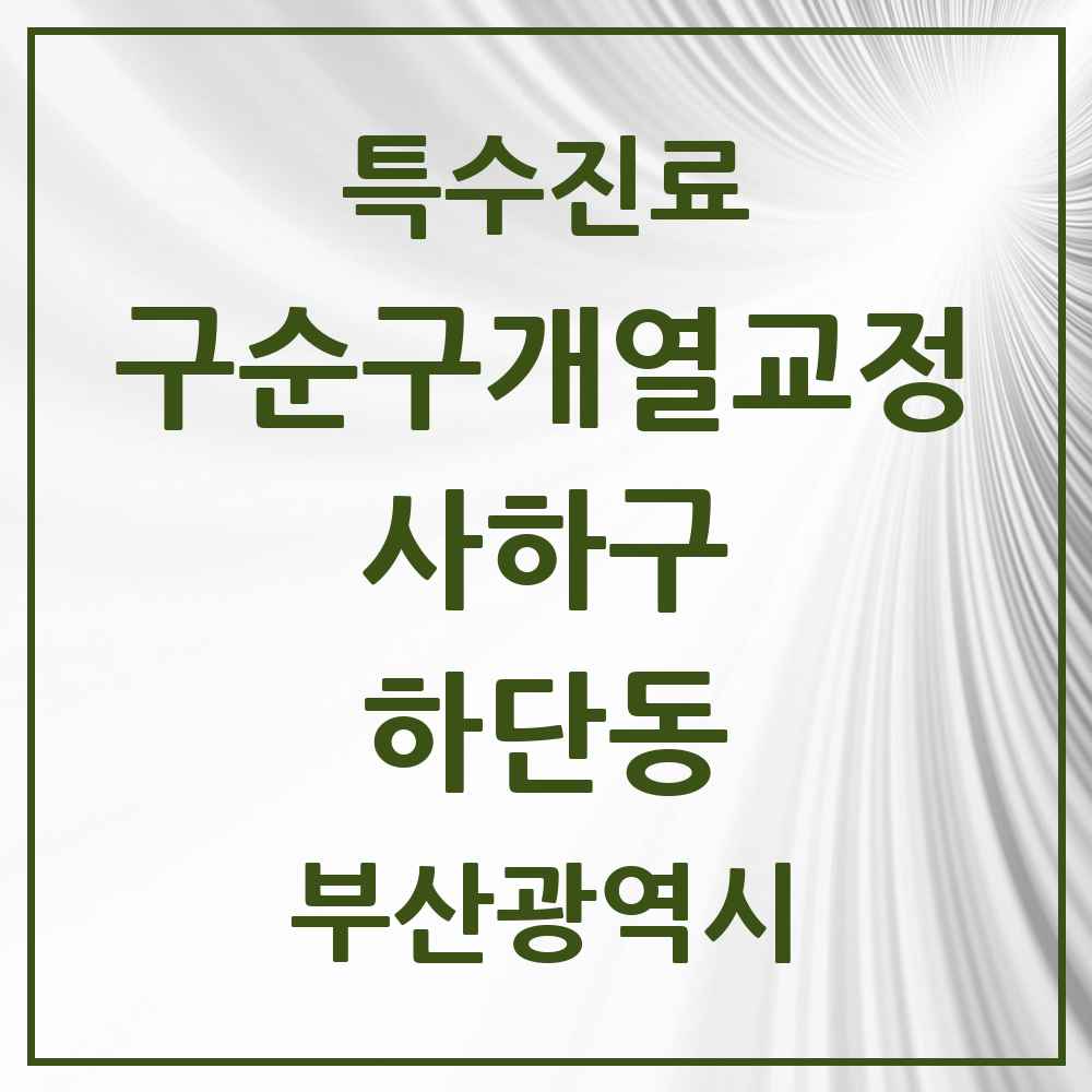 2025 부산광역시 사하구 하단동 구순구개열 등 치과교정 및 악정형 치료 실시기관 의원·병원 목록 1곳
