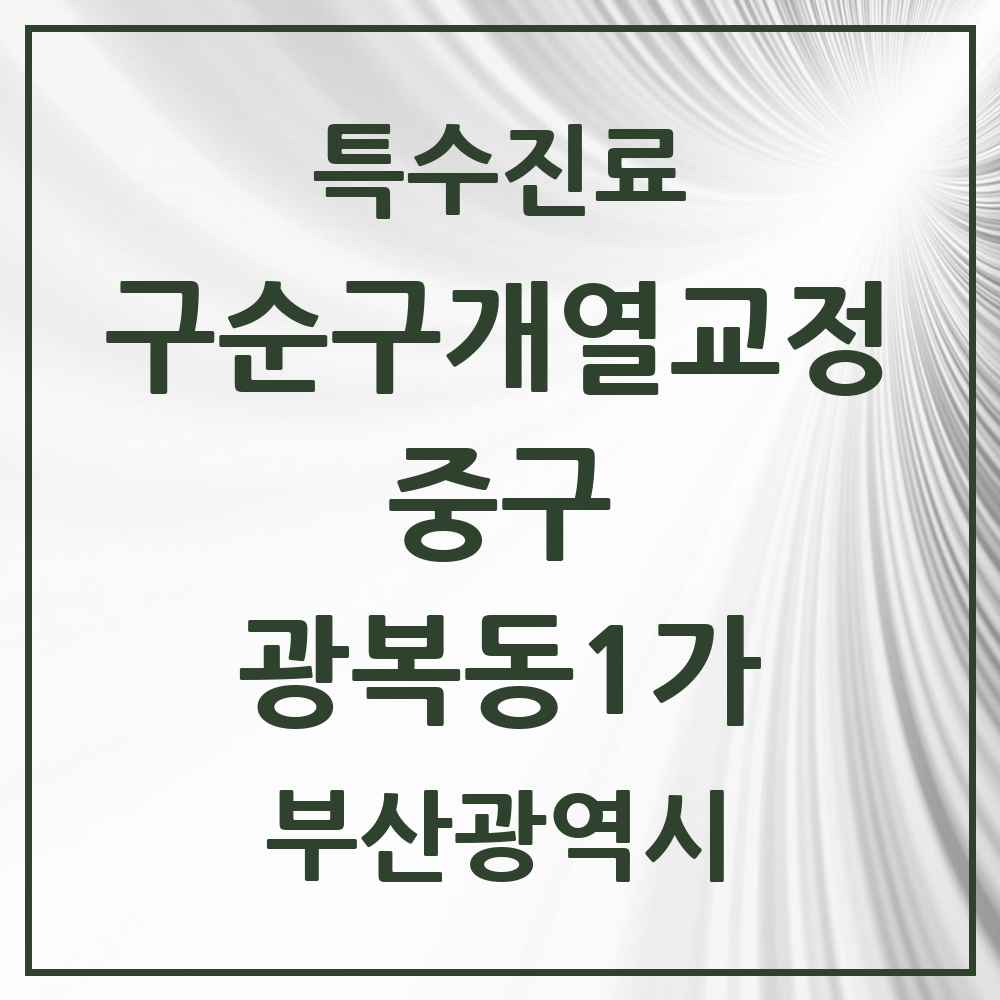 2025 부산광역시 중구 광복동1가 구순구개열 등 치과교정 및 악정형 치료 실시기관 의원·병원 목록 1곳