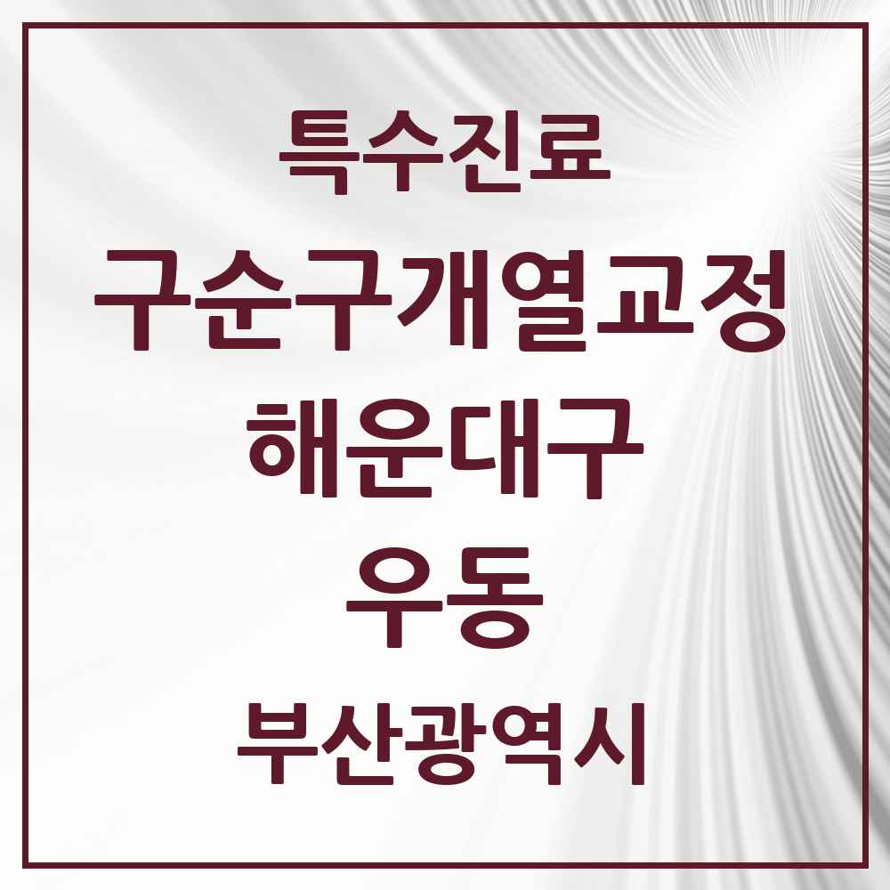 2025 부산광역시 해운대구 우동 구순구개열 등 치과교정 및 악정형 치료 실시기관 의원·병원 목록 3곳