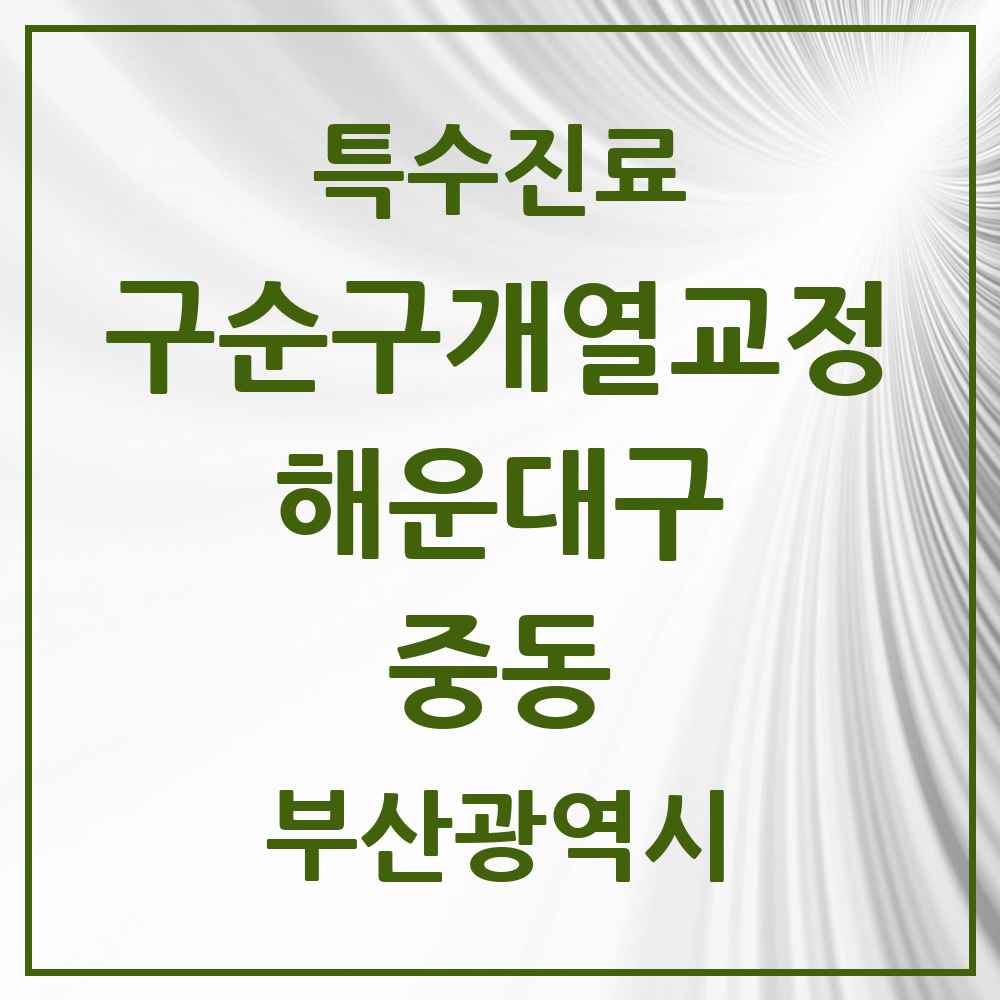 2025 부산광역시 해운대구 중동 구순구개열 등 치과교정 및 악정형 치료 실시기관 의원·병원 목록 1곳