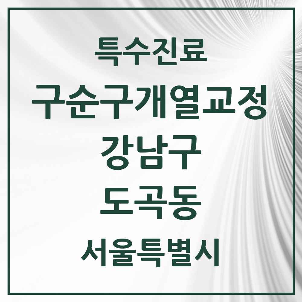 2025 서울특별시 강남구 도곡동 구순구개열 등 치과교정 및 악정형 치료 실시기관 의원·병원 목록 1곳