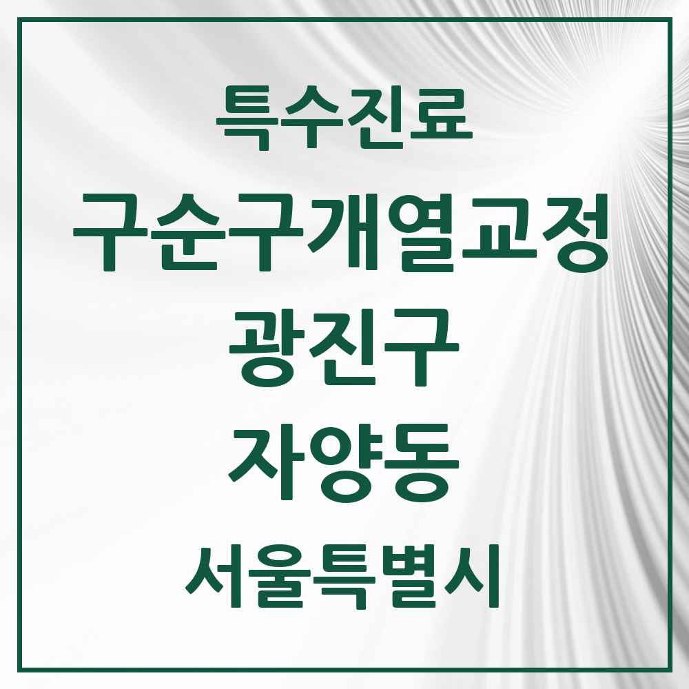 2025 서울특별시 광진구 자양동 구순구개열 등 치과교정 및 악정형 치료 실시기관 의원·병원 목록 1곳