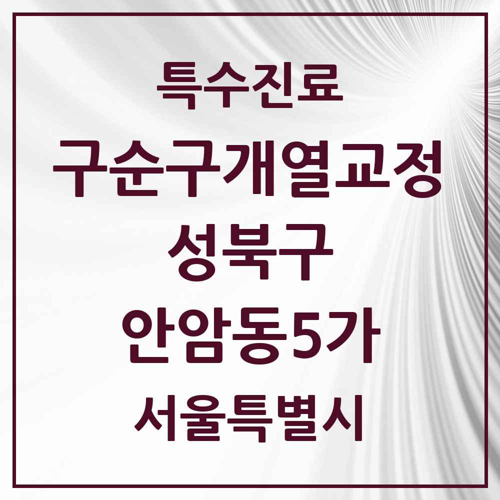2025 서울특별시 성북구 안암동5가 구순구개열 등 치과교정 및 악정형 치료 실시기관 의원·병원 목록 1곳