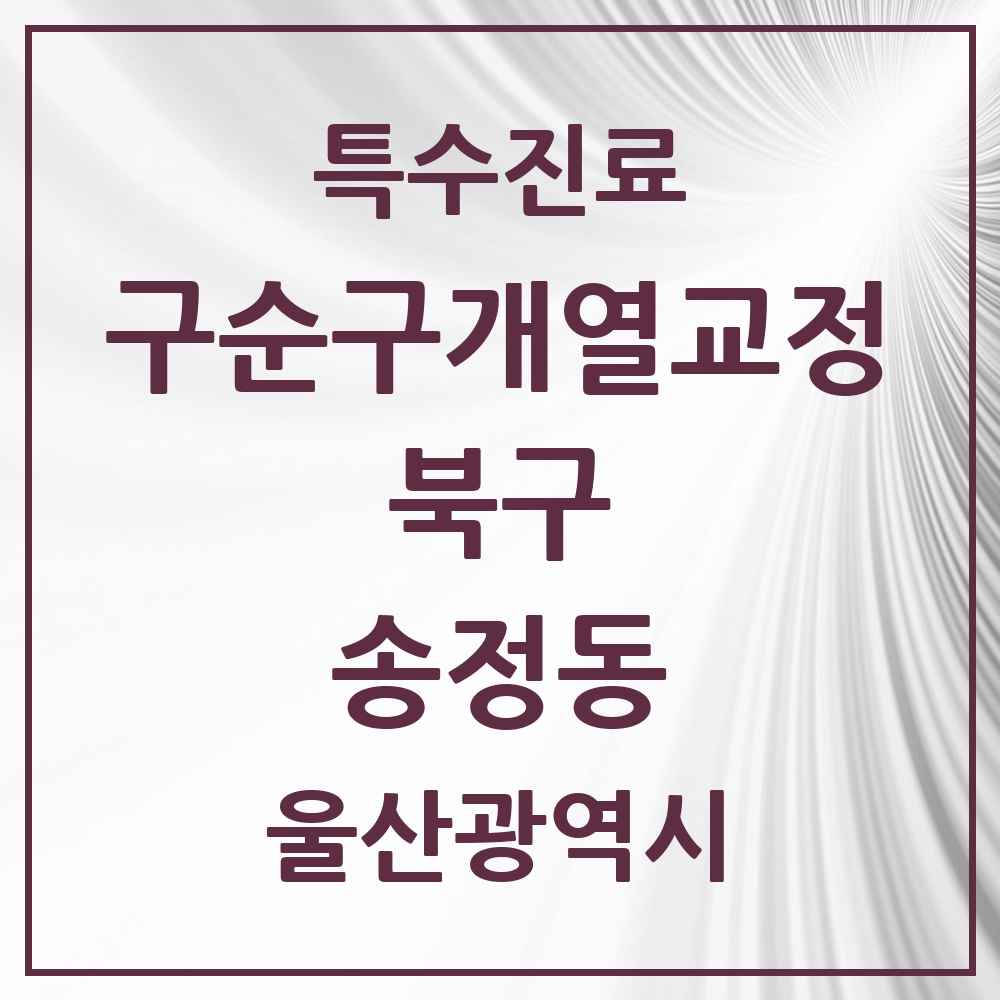 2025 울산광역시 북구 송정동 구순구개열 등 치과교정 및 악정형 치료 실시기관 의원·병원 목록 1곳