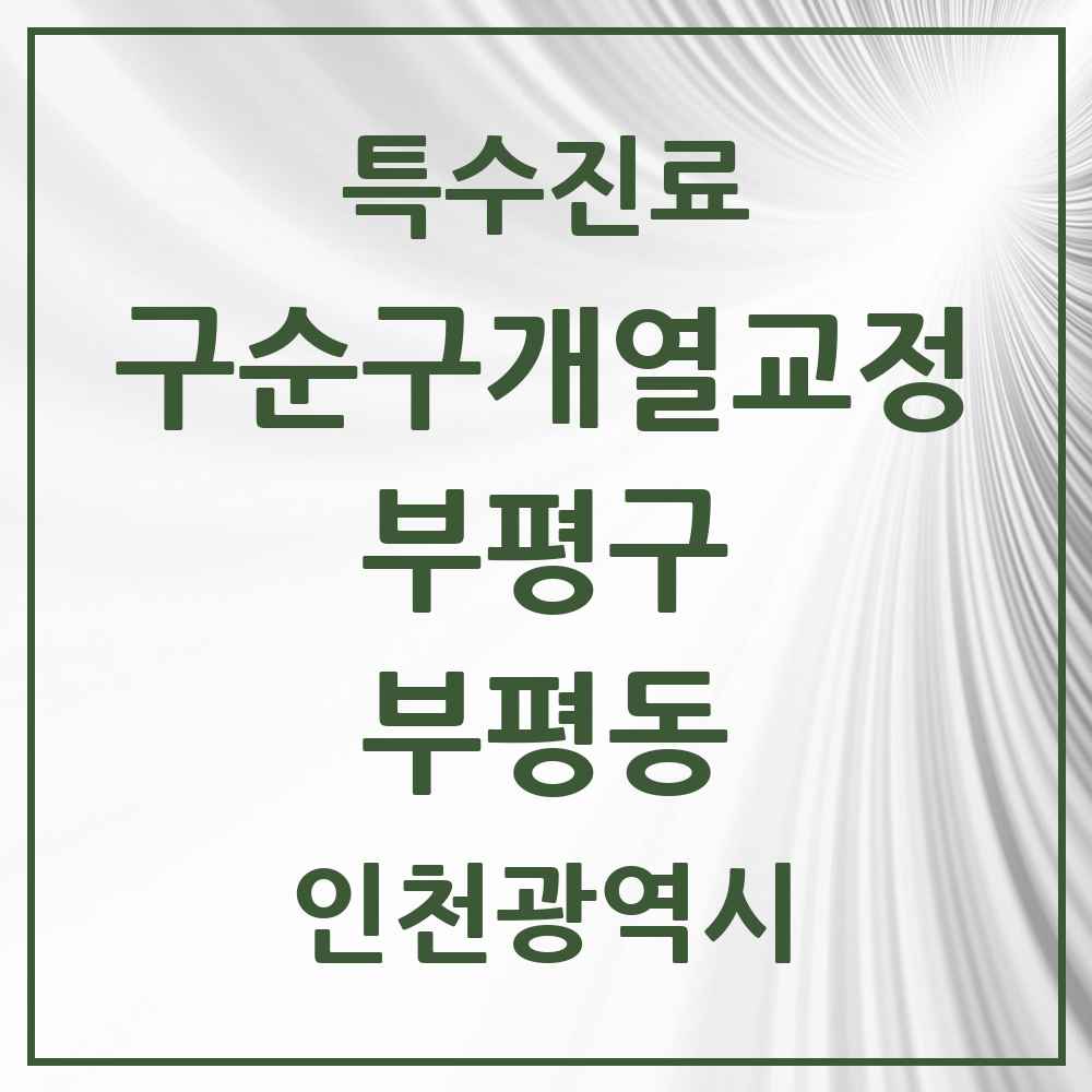 2025 인천광역시 부평구 부평동 구순구개열 등 치과교정 및 악정형 치료 실시기관 의원·병원 목록 2곳