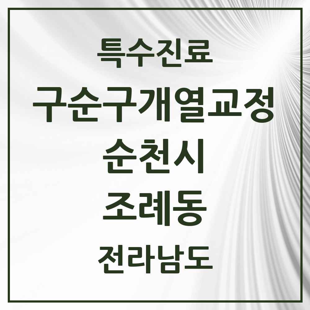 2025 전라남도 순천시 조례동 구순구개열 등 치과교정 및 악정형 치료 실시기관 의원·병원 목록 1곳