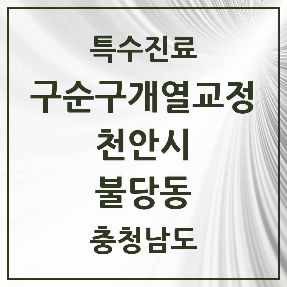2025 충청남도 천안시 불당동 구순구개열 등 치과교정 및 악정형 치료 실시기관 의원·병원 목록 1곳