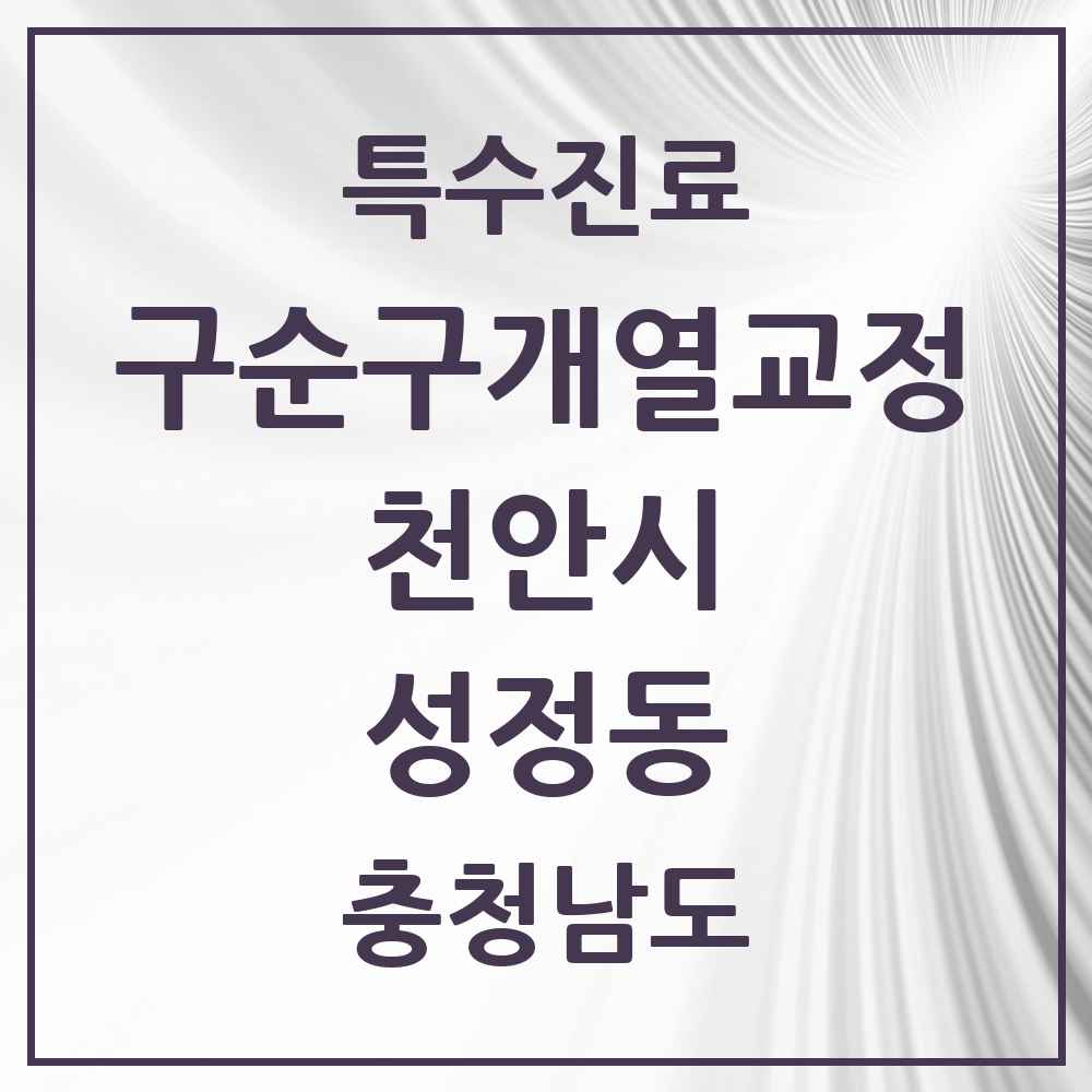 2025 충청남도 천안시 성정동 구순구개열 등 치과교정 및 악정형 치료 실시기관 의원·병원 목록 1곳