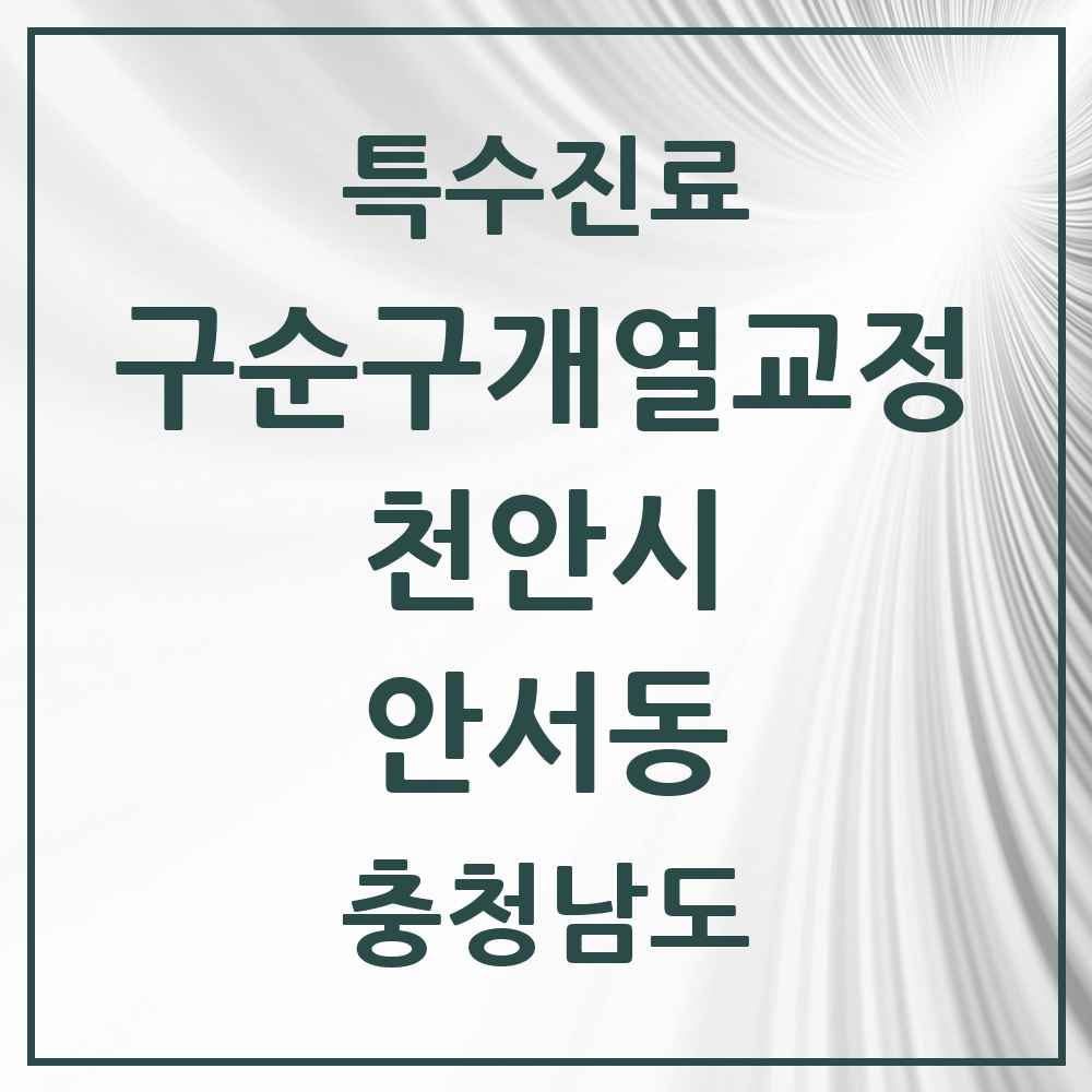 2025 충청남도 천안시 안서동 구순구개열 등 치과교정 및 악정형 치료 실시기관 의원·병원 목록 1곳
